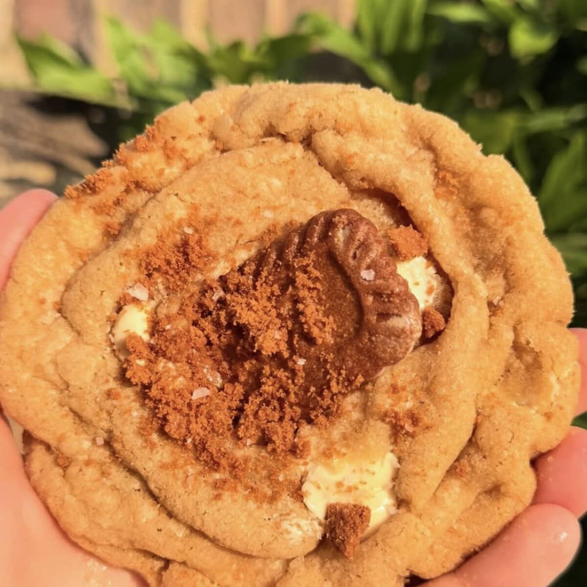 Biscoff Loaded Cookie