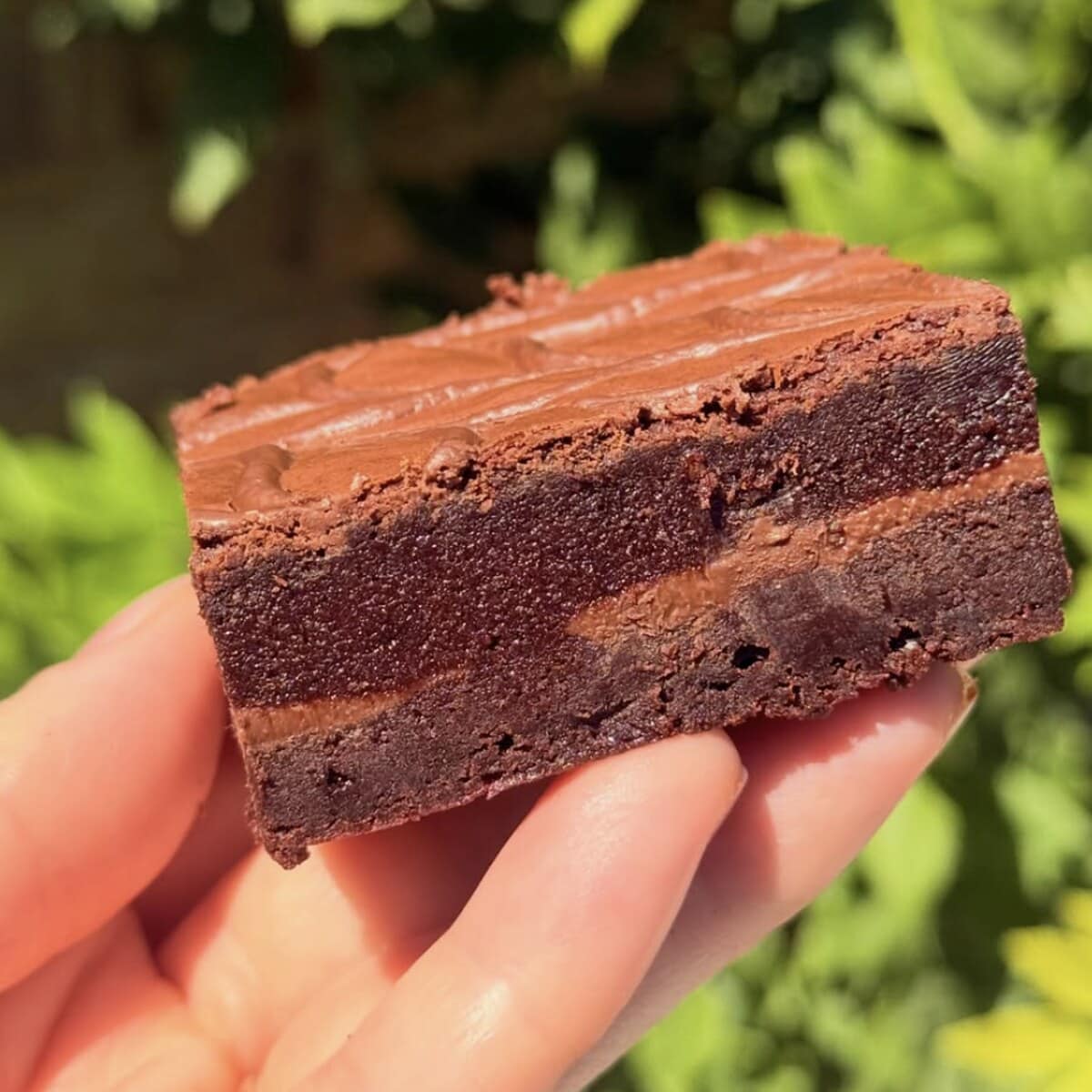 Nutella Loaded Brownie