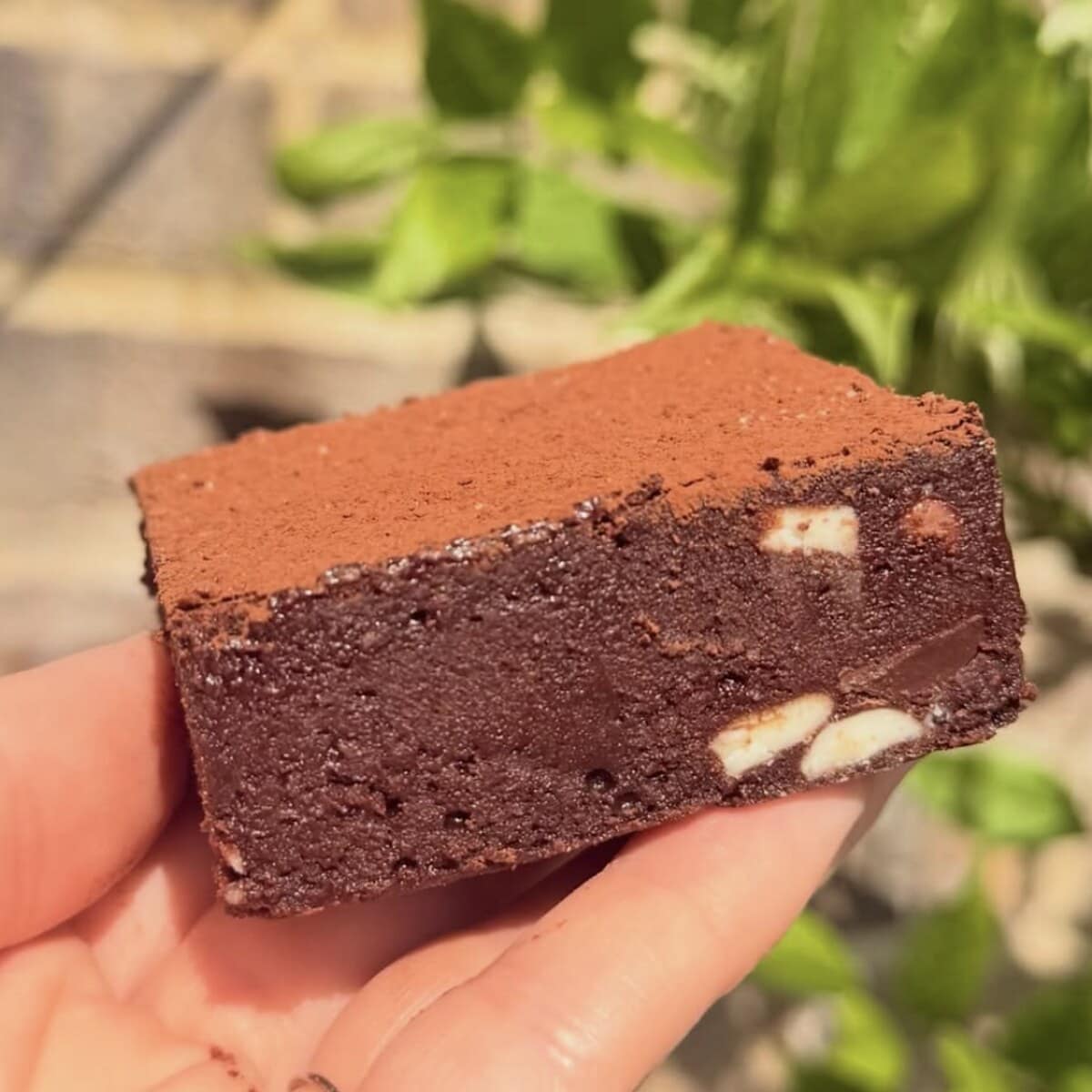 Triple Chocolate Chip Brownie