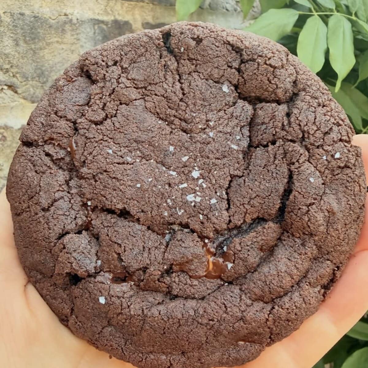 Vegan Chocolate Cookie